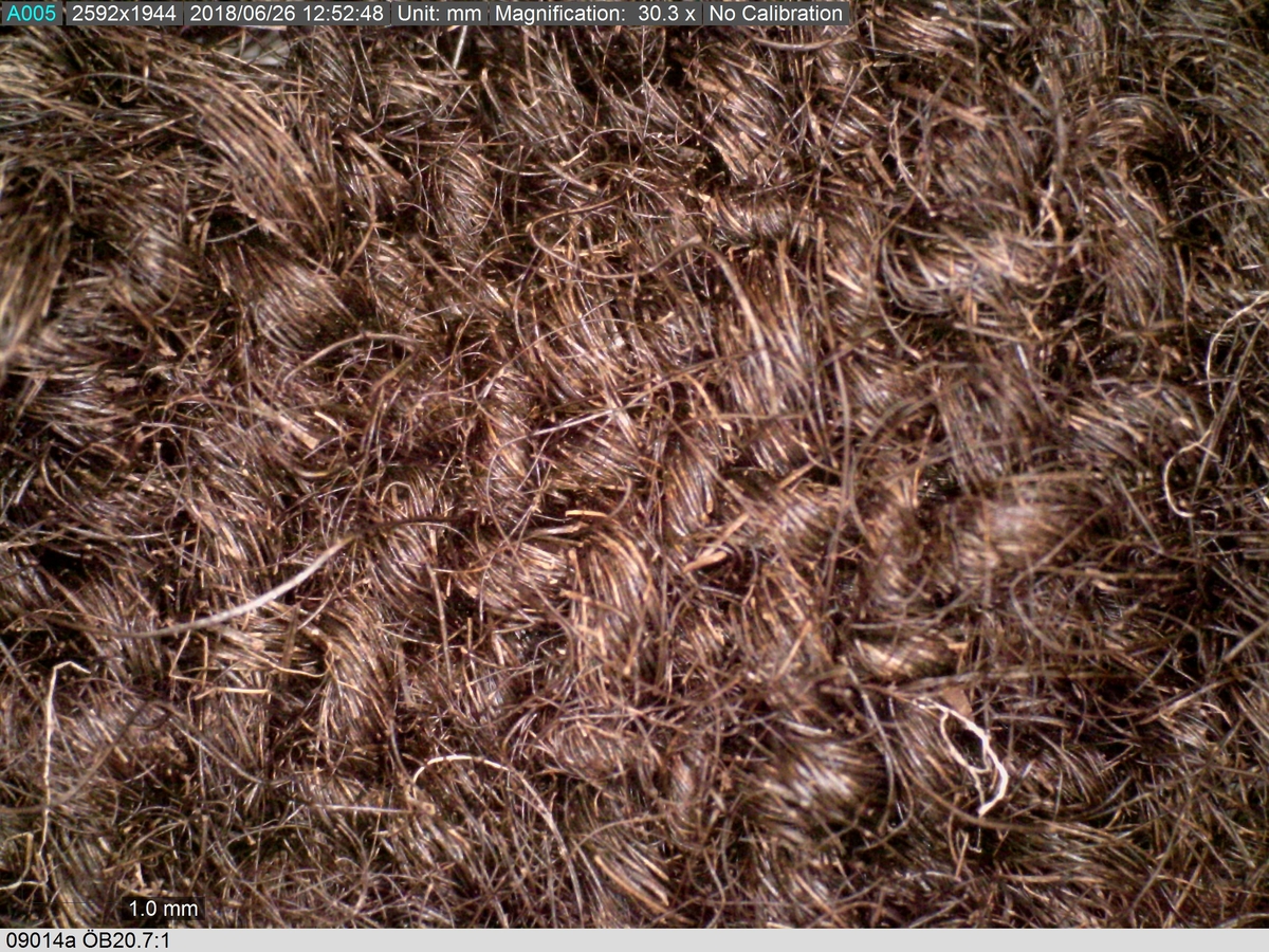 Textildokumentation 2018
Textil, fyndnumret består av mer än 50 st fragment uppdelade på 09014a-h.
Kontextgrupp ÖB20 (övriga fyndnummer i gruppen: 07732, 07762, 09228)
Relaterade fynd: Kontextgrupp ÖB17 och ÖB 18.
.
Fnr 09014a Typnr ÖB20.3:1
Sammanfattning - Ett textilfragment av ull vävt i tuskaft. Färgen är nu mörkbrun, fibrerna varierar i färg vilket tyder på att det är naturfärgad ull. Fibrerna är i vissa partier skadade på ytan och ser därför vita ut. Väven är tunn, jämn och fin och har inga spår av ytbehandling. Fragmentet har tre tillskurna kanter, två av dessa har spår av tre olika sömmar (söm 1: kvicksöm/förstygn). Formen tyder på att det är ett skört till en tröja. Andra delar: Jämför med 07726. 
.
Fnr 09014a Typnr ÖB20.4:1
Sammanfattning - Ett textilfragment av ull vävt i tuskaft. Färgen är nu mörkbrun, originalfärg okänd. I mikroskop ser tyget blåsvart ut. Väven är mycket jämn och slät. I sömsmånen på sida A finns bevarad lugg, på sida B är luggen så välbevarad att bindningen inte syns. Fragmentet har två tillskurna kanter med hål och avtryck av sömmar, även trådrester finns (söm 1: kaststygn - fälld kant, söm 2: ev förstygn - sammanfogande, söm 3: kaststygn - fälld kant). På sida B finns blåfärgad ull och silkesfibrer. 
.
Fnr 09014a Typnr ÖB20.5:1
Sammanfattning - Ett textilfragment av ull vävt i tuskaft. Väven är jämn och tät. En av kanterna är troligen tillskuren, inga sömrester finns. Tyget har inga spår av ytbehandling. På ytan finns en del bastfibrer. Relaterade fynd: Vävens struktur liknar ÖB20.4:1 men tygerna har ändå olika karaktär och detta fragment saknar lugg. 
.
Fnr 09014a Typnr ÖB20.6:1
Sammanfattning - Ett textilfragment av ull vävt i tuskaft. Färgen är nu brun, originalfärg är okänd men möjligen naturfärgad, fibrerna är mycket släta och varierar i färg från brun till nästan svart. Fragmentet är litet och mycket skadat, endast några få bindepunkter återstår vilket försvårar mätningar. 
.
Fnr 09014a Typnr ÖB20.7:1
Sammanfattning - Ett textilfragment av  ull vävt i tuskaft. Färgen är svartbrun, originalfärg okänd men möjligen naturfärgad då fibrernas färg varierar. Inga tydliga spår av ytbehandling. Väven är jämn men garnet är hårt spunnet vilket ger tyget en kypertkaraktär (falsk kypert). Fragmentet har inga tillskurna kanter eller sömmar. På ytan finns enstaka vita silkesfibrer.
.
Fnr 09014a Typnr ÖB20.8:1
Sammanfattning - Ett textilfragment av ull. Fragmentet är mycket litet och dåligt bevarat så bindningen är svår att avgöra, troligen 2/2 kypert. Färgen är svart, möjligen naturfärgad ull då fibrerna varierar något i färg. Tyget har ingen synlig ytbehandling. Garnet är hårt spunnet vilket ger tyget en speciell karaktär. 
.
Fnr 09014b Typnr ÖB17.1:8-11
Sammanfattning - Fyra textilfragment av ull vävt i tuskaft. Färgen är mörkbrun, originalfärg okänd men den bruna tonen slår mot röd. Tre av fragmenten har tillskurna kanter och spår av sömmar. Andra delar, som troligen kommer från samma tröja, är fnr 03261a och d, 09014h samt 09228a. 
Fragment ÖB17.1:9 - Fragmentet har två tillskurna kanter varav den ena har spår av en söm. Fragmentet är troligen sidostycket till en tröja. Den tillskurna kanten har då varit monterad mot tröjans bakstycke och bör ha hört samman med fyndnummer 03261d, vilket är ett bakstycke till en tröja.
Fragment ÖB17.1:10 - Fragmentet är mycket skadat men är troligen av typen ÖB17.1. Formen är densamma som för del av fragment ÖB17.1:9 och kan därför vara en dubblering av detsamma, alternativt det motstående sidostycket.
.
Fnr 09014c Typnr ÖB20.9:1-19
Sammanfattning - Nitton textilfragment av ull vävt i tuskaft. Färgen är brun, originalfärg okänd. Sida B har en kort tät lugg som döljer bindningen. På sida A finns ingen lugg och bindningen är synlig. Fjorton av fragmenten har tillskurna kanter och sömmar. Tre av fragmenten har sydda knapphål. Flera fragment är dräktdelar, till exempel finns en fragmentarisk krage. På ytan på flertalet fragment finns fibrer i flera klara färger, till exempel rosa, röd och blå. Vita fibrer finns i stor mängd, kan vara recenta.

Fragment ÖB20.9:1 - Fragmentet har flera tillskurna kanter med avtryck och hål efter olika typer av sömmar (söm 1: ev. sammanfogande, söm 2: kaststygn - fåll, söm 3: kaststygn - sammanfogande, söm 4: kaststygn - sammanfogande, söm 5: osäkert, söm 6: osäkert), trådrester finns. Kanterna och sömmarnas karaktär gör att sida A bedöms vara plaggets rätsida/utsida. Några hål som ej är stygnhål men kan vara original finns. I fragmentet sitter fast två stycken silkestrådar (söm 7: silkestråd med knut, fäst i tyget, söm 8:  silkestråd med ögla, fäst i tyget). Det är samma typ av tråd som knapphålen på fragment ÖB20.9:2 är sydda med. På sida A finns ett område med extra mycket korrosion och även en långsmal vitaktig avlagring.

Fragment ÖB20.9:2 - Fragmentet har inga bevarade tillskurna kanter, dock finns en någorlunda välbevarad rad med knapphål. Samtliga knapphål är trasiga i ena sidan så deras ursprungliga storlek går ej att avgöra. Knapphålen är sydda med knapphålsstygn i silkestråd och sitter med 13-15 mm mellanrum (c/c mått). Det tvärställda tränsen består av ca 10 stygn och syns ej på sida B, tränsens knutar sitter vända från knapphålet. På sida B anas rester av bastfiber under knapphålsstygnen, troligen från en dubblering av tyget eller ett foder. 

Fragment ÖB20.9:3 - Fragmentet har fyra stycken knapphål, varav ett är helt. Knapphålen är skurna på skrådden. Eventuellt finns spår av en söm längs en del av kanten. Knapphålsstygn och trådrester är mycket fragmentariska.

Fragment ÖB20.9:4 - Fragmentet har tre stycken knapphål.  Knapphålen är sydda med knapphålsstygn i silkestråd. Knapphålens längd är 19-20 mm och de sitter med 18-22 mm mellanrum (c/c mått). Eventuellt är fragmentets ena kant en sömsmån, kan ha varit monterad mellan andra tyglager (kanten har avvikande färg). Under knapphålsstygnen på sida B finns rester av annat material, eventuellt bastfiber. Bastfibrer finns också utspridda över ytan på sida B, kan vara rester av en dubblering till tyget eller ett foder, se fragment 9:2. På sida A finns avlagringar och korrosion. 

Fragment ÖB20.9:5 - Fragmentet har bristningar i tyget som ser ut som knapphål, dock finns inga rester av stygnhål eller tråd. Fragmentets ena kant är troligen en sömsmån, kan ha varit monterad mellan andra tyglager (kanten har avvikande färg). Enstaka spår av söm och tråd finns längs kanten (söm 1), dessa är mycket otydliga. På fragmentets andra (mycket trasiga) kant finns ett mycket tydligt stygnhål. Fragment 9:4 och 9:5 ser ut att kunna höra ihop, dock går trådsystemen åt olika håll så det är inte fallet.

Fragment 9:6-9 - Till det stora fragmentet 9:6 hör det lilla lösa fragmentet 9:7. I fragment 9:6 sitter två fragment fastsydda, 9:8 och 9:9. De sammansydda fragmenten har tre tillskurna kanter och spår av minst fem sömmar (söm 1: kaststygn, söm 2: förstygn el. liknande - sammanfogande, söm 3: kaststygn, söm 4: sammanfogande, fäster ihop 9:6 med 9:8 och 9:9, söm 5: två stygnhål), trådrester finns. Det är troligt att 9:8 och 9:9 är delar av samma tillskurna bit, och att den utgjort en dubblering till 9:6 (inklusive 9:7). Den tillskurna formen ser ut att vara en krage. Fragmentet skulle då vara en halv krage, bevarad från framkant till nästan mitt bak. På sida A finns en beläggning på delar av ytan. På sida B finns en mängd fibrer i klara färger: blå, vit, rosa, tegelröd, orange, karminröd, grön, mörkgul och grå. fibrerna ligger ytligt med nästan samtliga sitter delvis fast i tygets lugg eller har en eller båda ändar nere i vävens bindning. Fibrerna bör därför vara ursprungliga. Sida A har en mindre mängd av nämnda fibrer, mest förekommande på ytan av fragment 9:8 och 9:9.

Fragment ÖB20.9:10 - Fragmentet har två tillskurna kanter. Dessa är invikta mot sida B som en 6-7 mm bred fåll som är fastsydd med kaststygn, trådrester finns (söm 1 och 2). Fragmentet kan vara ett skört till en tröja. På båda sidors yta finns fibrer i klara färger: grå, ljusblå, orange, orangebrun, vitgul, blå svart, vit, röd, korallröd och rosa.

Fragment ÖB20.9:11 - Fragmentet har tre tillskurna kanter med sömmar. Två av kanterna är invikta och fastsydda mot sida B, som fållar (söm1: kaststygn - fåll, söm 2: kaststygn - fåll). Stygnen går ej igenom till sida A men sömmen syns som bucklor i fragmentets yta. Söm 3 längs den tredje kanten har troligen varit en sammanfogande söm sydd med kaststygn. Stygn och trådrester finns bevarade från samtliga sömmar. Under fållen vid söm 1 finns ett litet fragment av en annan textiltyp. Troligen ursprungligen en dubblering eller liknande. Fragmentet är ca 10x5 mm stort och har fått typnummer ÖB20.16:1. På ytan på sida B finns enstaka bastfibrer.

Fragment ÖB20.9:12 - Fragmentet har två tillskurna kanter med sömmar (söm 1: ev kaststygn, söm 2: osäker). Vid söm 2 är sömsmånen vikt mot sida B. Vid söm 1 är kanten inte vikt. Fragmentet har samma form som ÖB20.9:6, "kragen".

Fragment ÖB20.9:13 - Fragmentet har två tillskurna kanter med sömmar (söm1: sammanfogande, söm 2: osäkert). De två övriga kanterna är eventuellt också de tillskurna men spår av eventuella sömmar är för otydliga. Enstaka fibrer med klara färger (rosa, blå, vit) finns på båda sidor, fler på sida B. Vid söm 2 finns på ett ställe en fiberknippa som kommer upp ur vävens bindning, kan vara rester av en tråd och är eventuellt halsplat silke. 

Fragment ÖB20.9:14 - Fragmentet har en tillskuren kant med söm (söm1: ev sammanfogande). I stygnhålen finns rester av tråd.
.
Fnr 09014c Typnr ÖB20.10:1
Sammanfattning - Ett textilfragment av ull vävt i tuskaft. Färgen är brun, originalfärg okänd. Sida B har en kort och tät lugg, bindningen syns bara på sida A. Längs ena kanten finns tre stycken tydliga hål. Hålen är gjorda med ett verktyg som skär av fibrerna snarare än tränger undan dem.
.
Fnr 09014c Typnr ÖB20.16:1
Sammanfattning - Fragmentet är mycket litet och sitter inuti den invikta fållen på fragment 09014c ÖB20.9:11, det sticker bara fram någon millimeter. Fragmentet är mycket skört. Bevarandegrad och storlek gör mätningar svåra. Det är olika garn i trs 1 och trs 2. Sida B är täckt av en lugg, på sida A syns bindningen, om än fragmentariskt.
.
Fnr 09014d Typnr ÖB18.16:2-8
Ej dokumenterad
.
Fnr 09014d Typnr ÖB20.11:1-2
Ej dokumenterad
.
Fnr 09014e Typnr ÖB20.12:1-4
Sammanfattning - Fyra textilfragment av ull vävt i tuskaft. Färgen är brun med inslag av täckhårsfibrer i en mörkare brun färg, originalfärg okänd. Fragmenten är mycket fragmentariska med trs 1 bättre bevarat än trs 2. Enbart på en del av fragment ÖB20.12:1 finns trs 2 samt bindningen bevarad. Utspridda över tygets yta finns grova bastfibrer samt korrosionsfläckar. 
.
Fnr 09014f Typnr ÖB20.13:1
Sammanfattning - Ett textilfragment av ull vävt tuskaft. Färgen är mörkbrun, fibrerna varierar mellan ljus och mörk brun. Originalfärg okänd, möjligen naturfärgad ull. Garnet är hårt spunnet vilket ger väven en särskild karaktär, sida A har en mer strukturerad ytan än sida B. Fragmentet har inga tillskurna kanter. På sida A finns enstaka röda och gulgröna silkesfibrer, samt bastfibrer. På sida B finns enstaka blå, vita och rosa silkesfibrer.
.
Fnr 09014g Typnr ÖB20.14:1-3
Sammanfattning - Tre textilfragment av ull och bastfiber vävt i tuskaft. Färgen är beige för bastfibern (trs 1) och svartblå för ullen (trs 2). Trs 2 är mycker grövre än trs 1. Trs 1 är nästan helt försvunnet. Två av fragmenten har tillskurna kanter och ett har spår av en sömsmån. På ytan av fragmenten finns en stor mängd bastfiber samt en vit/rosa tuss med silke. På fragment 14:2 finns några intensivt blå ullfibrer.
.
Fnr 09014h Typnr ÖB17.1:12-13
Sammanfattning - Två textilfragment av ull vävt i tuskaft. Färgen är brun, originalfärg okänd. Det större fragmentet är tillskuret och har spår av sömmar. Fragmentet är en ensömsärm med sömmen placerad mitt bak på ärmen. På ytan finns stora rostfläckar. Andra delar: Hör troligen (trots färgskillnad) till skelettet Beatas tröja, se fnr 03261a-d, 09228a, 09014b och h.