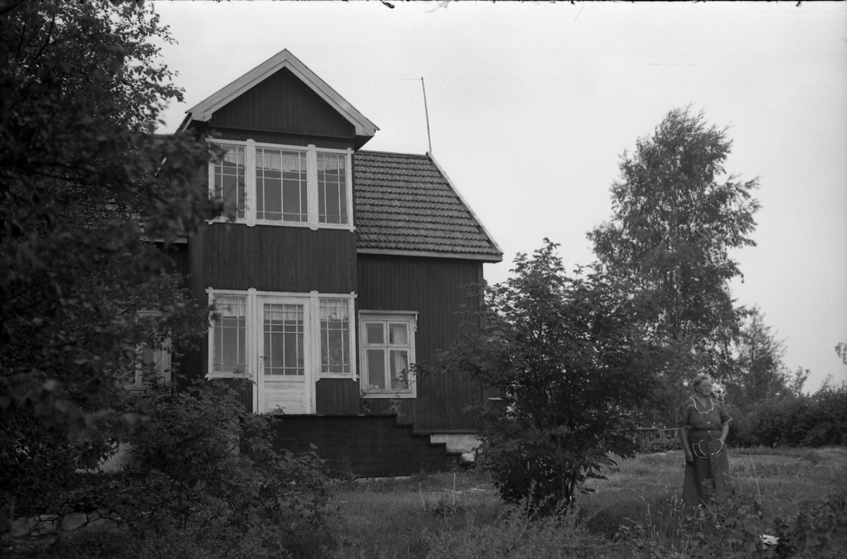 Fem bilder fra Aasen under Løsengen i Gamle Rossgutua på Skreia høsten 1955. Kvinnen på det første bildet er Borghild Løsengen (f.Johannesdtr. Nordrum) som var gift med Albert Anton Løsengen. Hun finnes også på to av de andre bildene, da sammen med eldste dattera Eva Aasen og Karl Skjelstad. Stedet ble bygd opp i 1922.