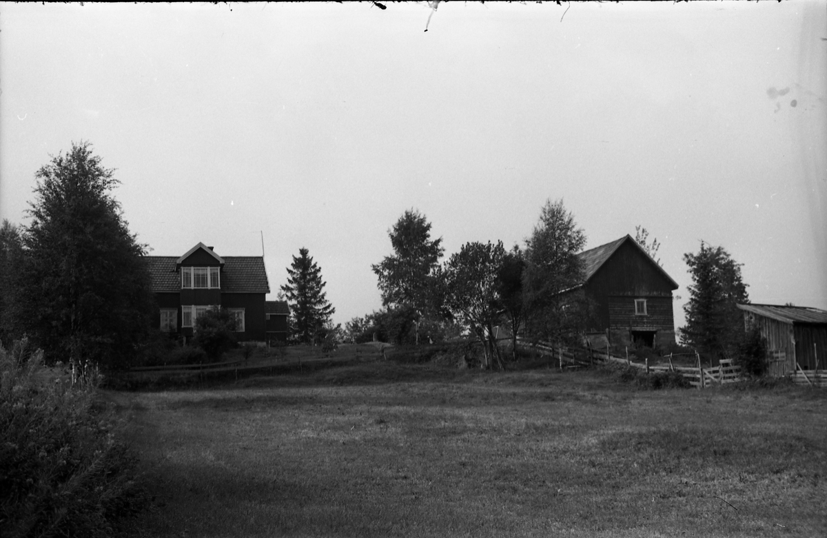 Fem bilder fra Aasen under Løsengen i Gamle Rossgutua på Skreia høsten 1955. Kvinnen på det første bildet er Borghild Løsengen (f.Johannesdtr. Nordrum) som var gift med Albert Anton Løsengen. Hun finnes også på to av de andre bildene, da sammen med eldste dattera Eva Aasen og Karl Skjelstad. Stedet ble bygd opp i 1922.