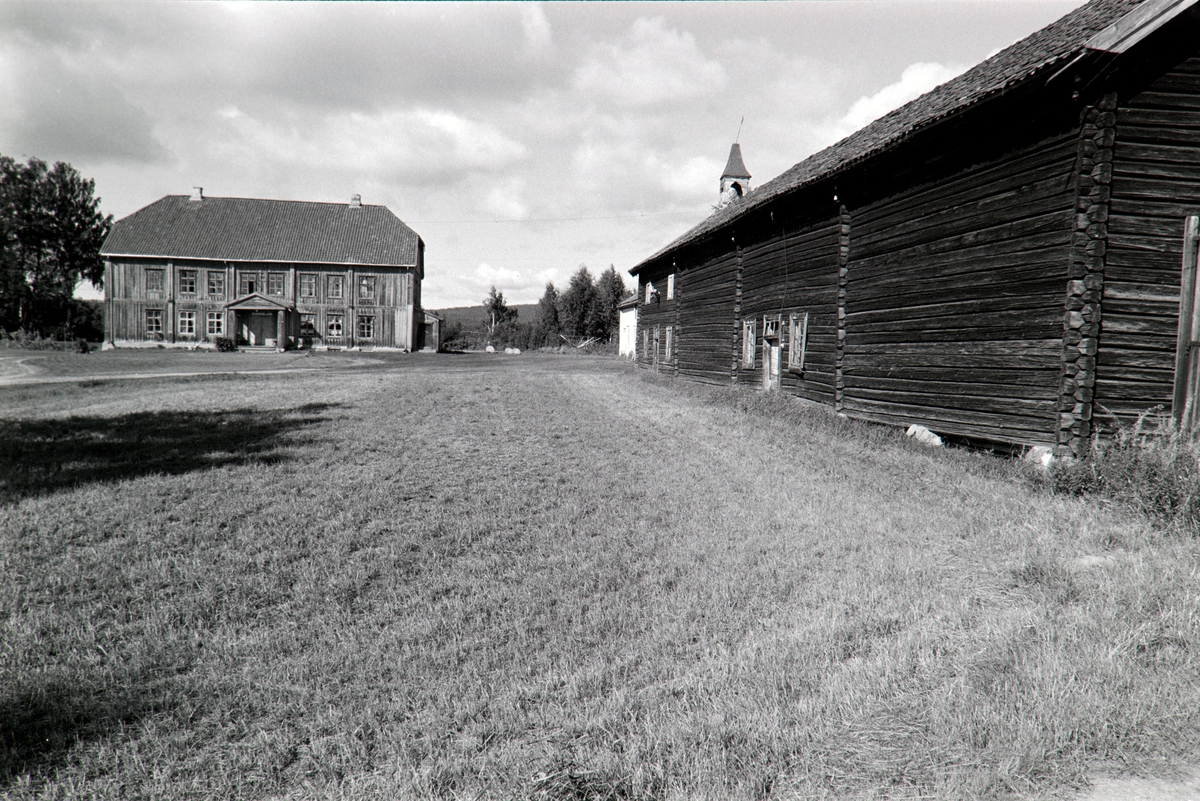 Eksteriør, ukjent gård.