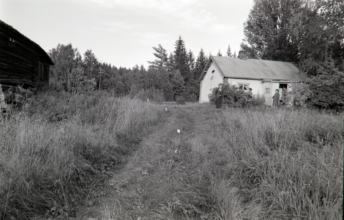 Pershagen, husmannsplass under Storihle, Furnes. Perhagelåven gjenreist på Domkirkeodden 1974.