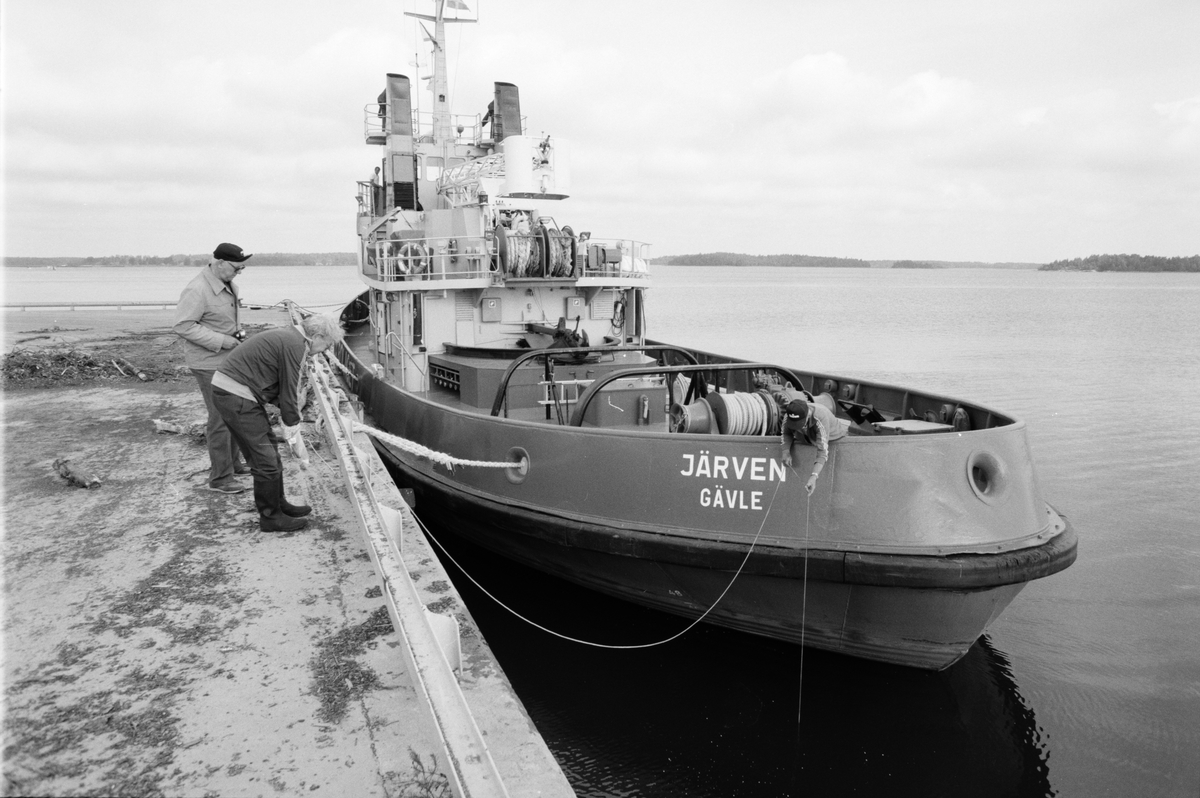 Bogserbåten Järven från Gävle i hamnen, Hargshamn, Harg, Uppland augusti 1991