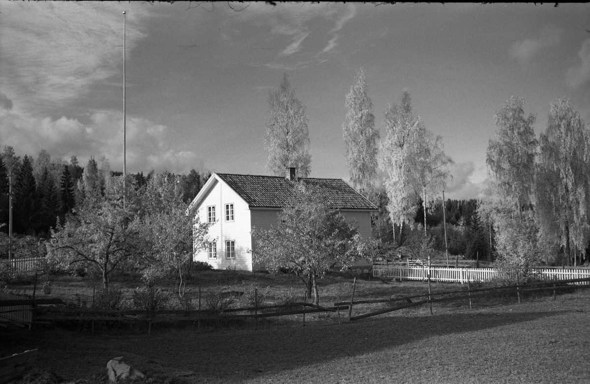 Muligens bruket Dammen på Krabyskogen. Seks bilder fra oktober 1955.