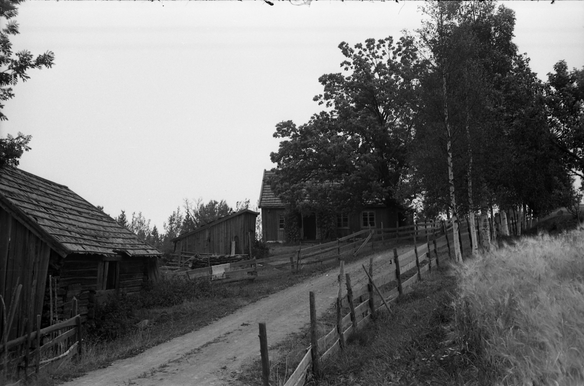 Fem bilder fra Løsengen i Østre Toten høsten 1955. -Mjøsmuseet ...