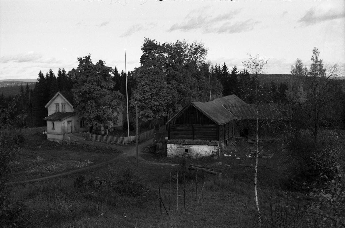 Seks bilder fra gården Gimle på Krabyskogen, Østre Toten, høsten 1955.