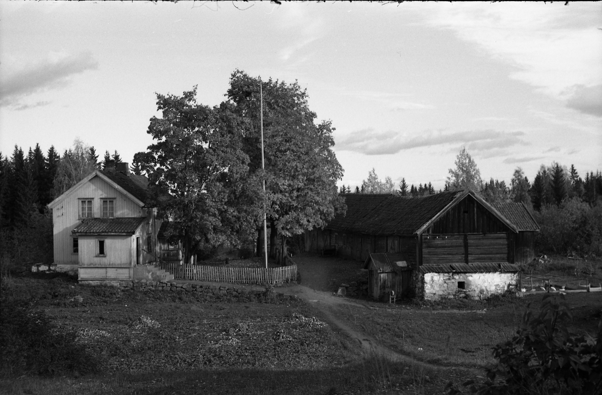 Seks bilder fra gården Gimle på Krabyskogen, Østre Toten, høsten 1955.