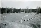 Badelunda sn, Anundshögsområdet, Långby.
Skeppssättningar, 1938.