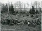 Badelunda sn, Anundshögsområdet, Långby.
Skeppssättning II under restaureringen. 1932.