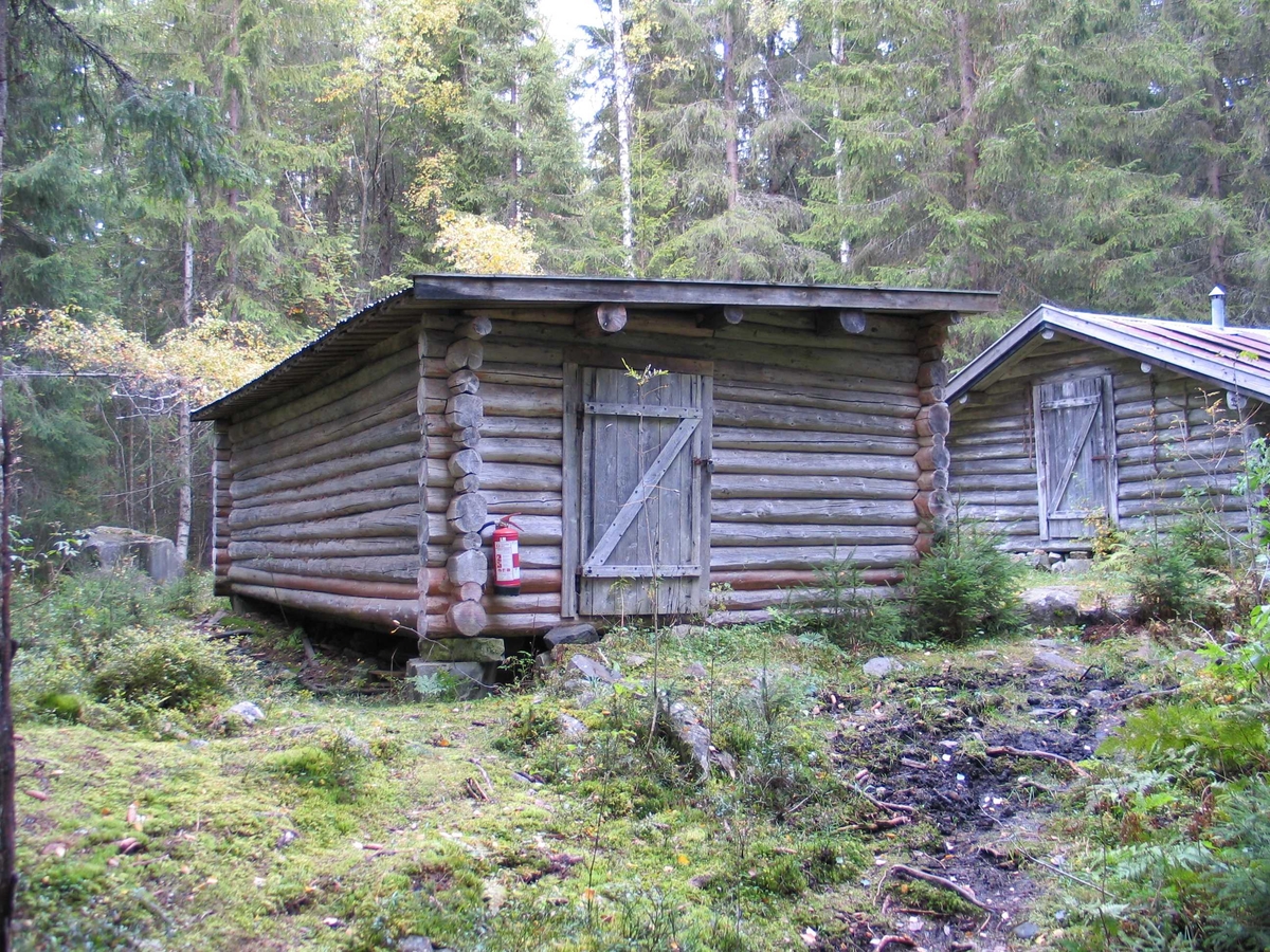 Stall, skogskoie