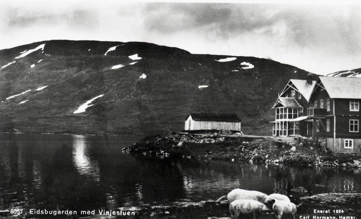 Postkort rå Eidsbugarden og Vinjestua i Vang.