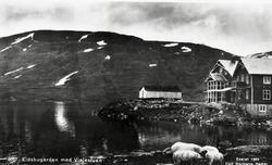 Postkort rå Eidsbugarden og Vinjestua i Vang.