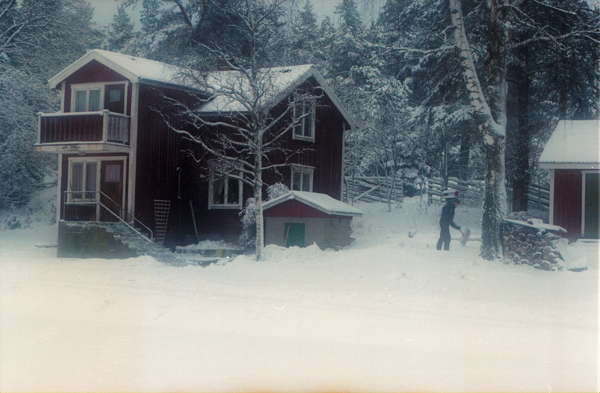 Lantbrukare Arvid eller Birger Mattsson skottar snö, Lönnholmen, Gräsö socken, Uppland 1994 - 1995