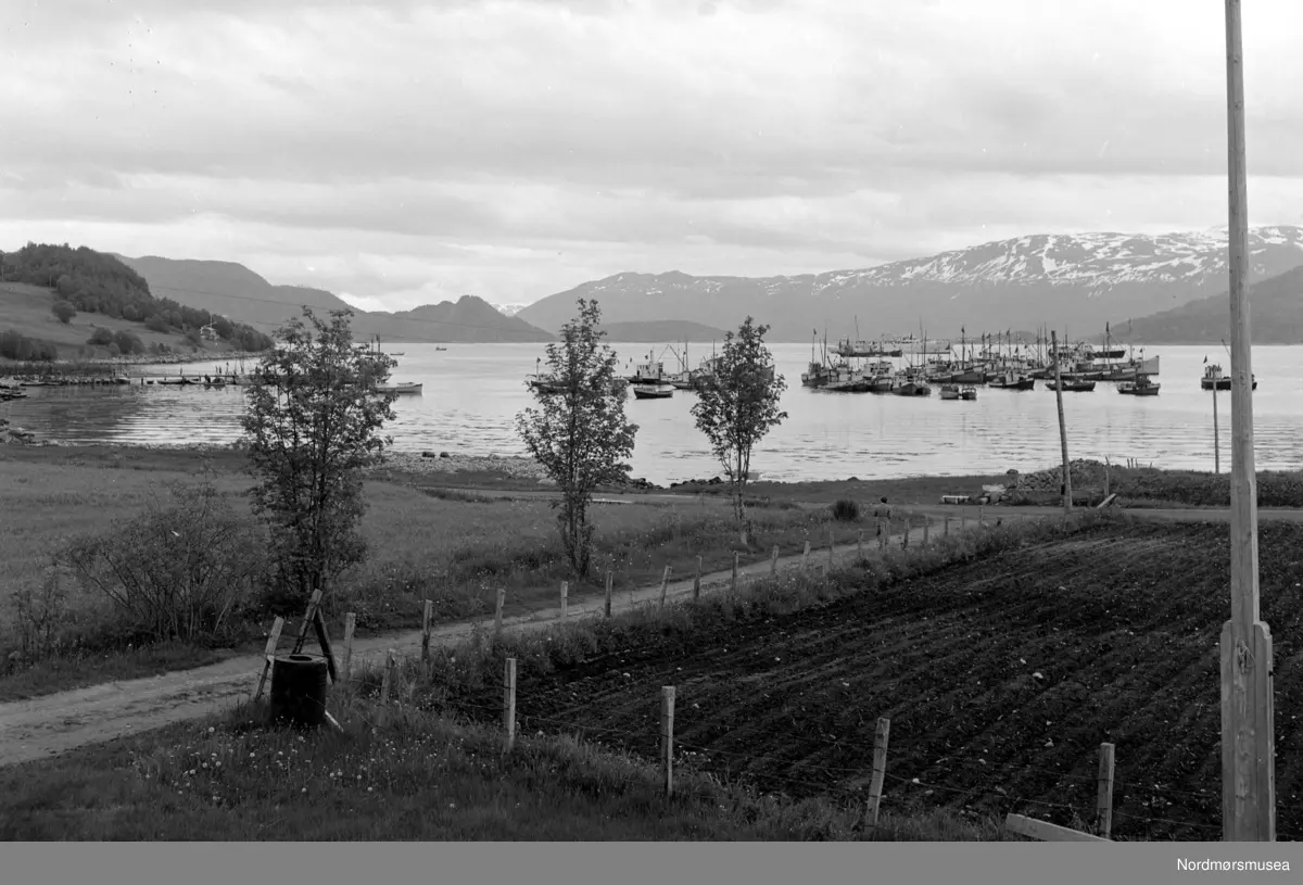Dette fotoet er tatt fra  Avholdsheimen. Gjerde her og steinutgarden ned til sjøen, er delet/bytet mellom Flatset og Frei . Nå er det dele mellom Indre Flatset og Nedre Stranden. Det spesielle her er en bom på veien, som her kan sees. Den ble tatt bort ca. 1960. 
(info: Arnfinn Herkedal)  -
Foto fra 1000-årsjubileet for slaget på Rastarkalv. Slaget på Rastarkalv var et slag i 955 mellom Eirikssønnene og Håkon Adalsteinsfostre. Eirikssønnene ledet en hær som bestod av norske og danske vikinger, tildelt av den første danske kongen, Harald Blåtann. Håkon Adalsteinsfostre vant slaget og tvang danskene til retrett. (Kilde: Wikipedia). Bildet er datert 1955. Fotograf er Nils Williams. Fra Nordmøre museums fotosamlinger.