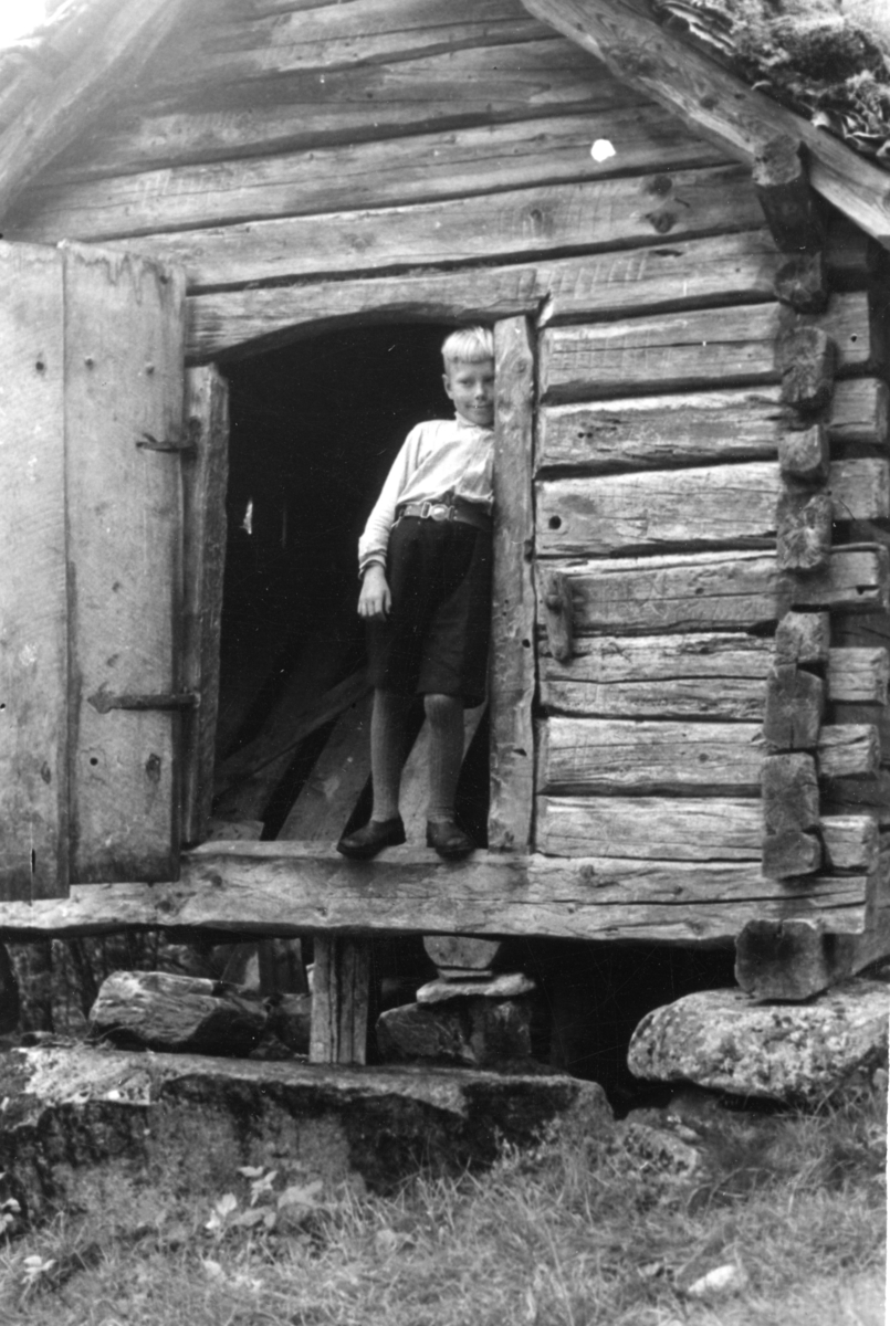 Frida Johannessen sammen med Liva Veka og sønnen, Lars Veka. Lars holder ei kattunge. De står på et tun med eldre hus på Veka i Suldal.