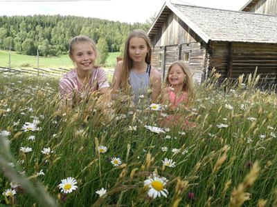 Blide jenter i sommerenga på Almenninga