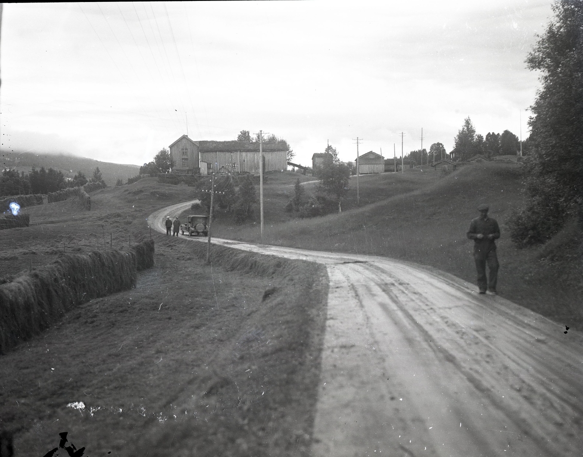 Foto av: bilen (utside og innside), veien med politi til stede, skog, åstedundersøking(?) ved et vann, utenfor en gård med politi og biler. Fra en overfallssak der to svensker visstnok var overfalt og drept, men det viste seg senere at den ene overfalt den andre. Etterforskningen ble utført av politifullmektig Hoel ved Uttrøndelag politikammer og politibetjent Dragvold ved Trondheim politikammer.