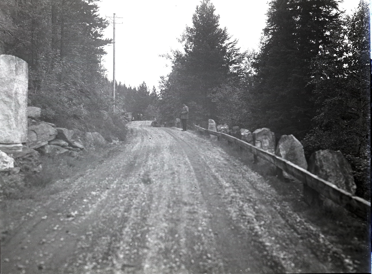 Foto av: bilen (utside og innside), veien med politi til stede, skog, åstedundersøking(?) ved et vann, utenfor en gård med politi og biler. Fra en overfallssak der to svensker visstnok var overfalt og drept, men det viste seg senere at den ene overfalt den andre. Etterforskningen ble utført av politifullmektig Hoel ved Uttrøndelag politikammer og politibetjent Dragvold ved Trondheim politikammer.