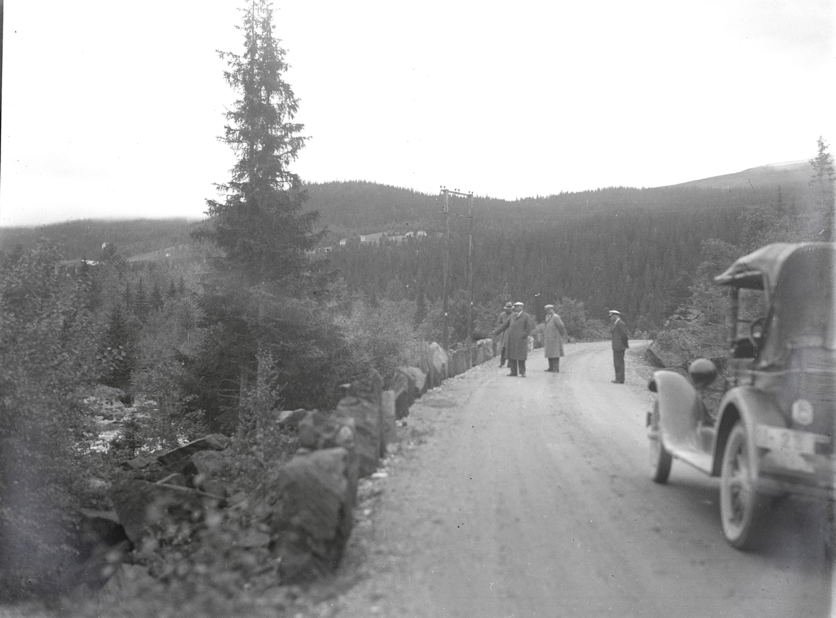 Foto av: bilen (utside og innside), veien med politi til stede, skog, åstedundersøking(?) ved et vann, utenfor en gård med politi og biler. Fra en overfallssak der to svensker visstnok var overfalt og drept, men det viste seg senere at den ene overfalt den andre. Etterforskningen ble utført av politifullmektig Hoel ved Uttrøndelag politikammer og politibetjent Dragvold ved Trondheim politikammer.