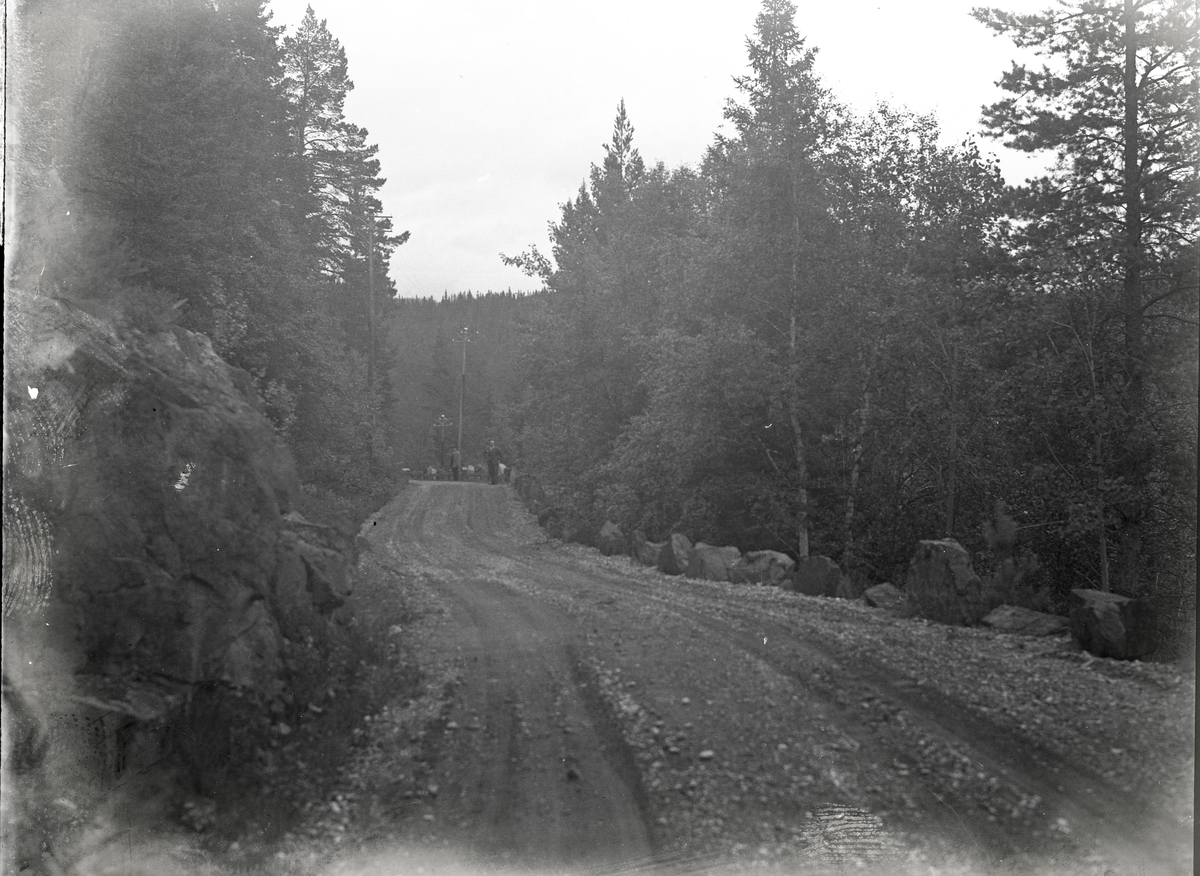 Foto av: bilen (utside og innside), veien med politi til stede, skog, åstedundersøking(?) ved et vann, utenfor en gård med politi og biler. Fra en overfallssak der to svensker visstnok var overfalt og drept, men det viste seg senere at den ene overfalt den andre. Etterforskningen ble utført av politifullmektig Hoel ved Uttrøndelag politikammer og politibetjent Dragvold ved Trondheim politikammer.