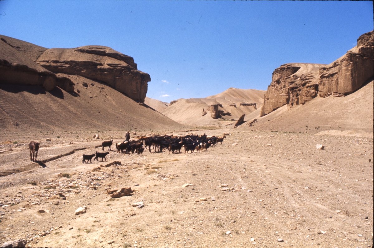 Fra reise gjennom Afghanistan 1974.