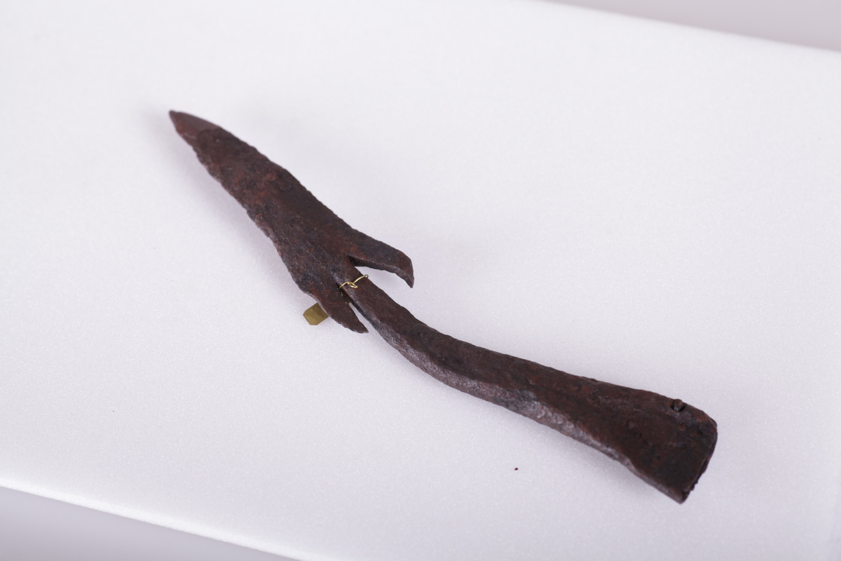 Spydspiss av jern med mothaker som type Rygh 212 fra eldre jernalder. Funnet i Vang i Valdres.