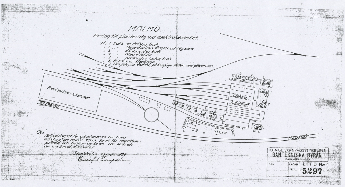Malmö. Förslag till plantering vid elektrolokstallet.

Buskar: Salix pentandra lucida busk, Ampelopsis Veitchi.

Träd: daggvide - Salix acutifolia, guldpil - Salix alba vitellina, Salix daphnoides, Salix elegantissima.

Fogelbergs samling. Inför järnvägens 150-årsjubileum 2006 gjorde Fredrik Fogelberg och Charlotte Lagerberg Fogelberg ett utredningsarbete åt dåvarande Banverket om järnvägens planteringar. Närmare 200 planteringsskisser kopierades från Riksarkivet, landsarkiven och hos privatpersoner. Planteringsskisserna är digitaliserade från de gjorda kopiorna och inte från originalen i arkiven.