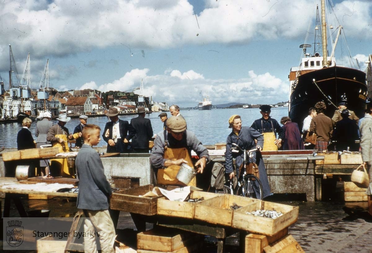 Fisketorget innerst i Vågen