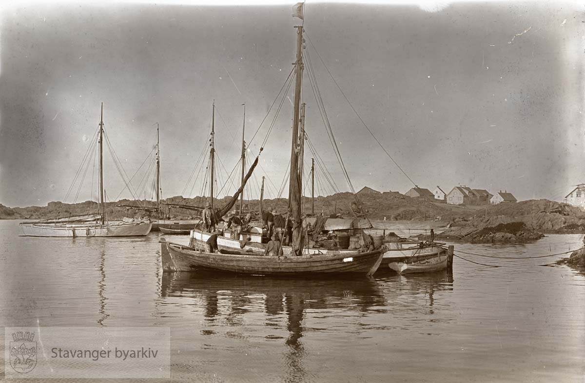 Sildefiske på Utsira (?). Fotograf muligens Carl Lùtrerath. ...Seilbåt.Seilskute.Seilskip