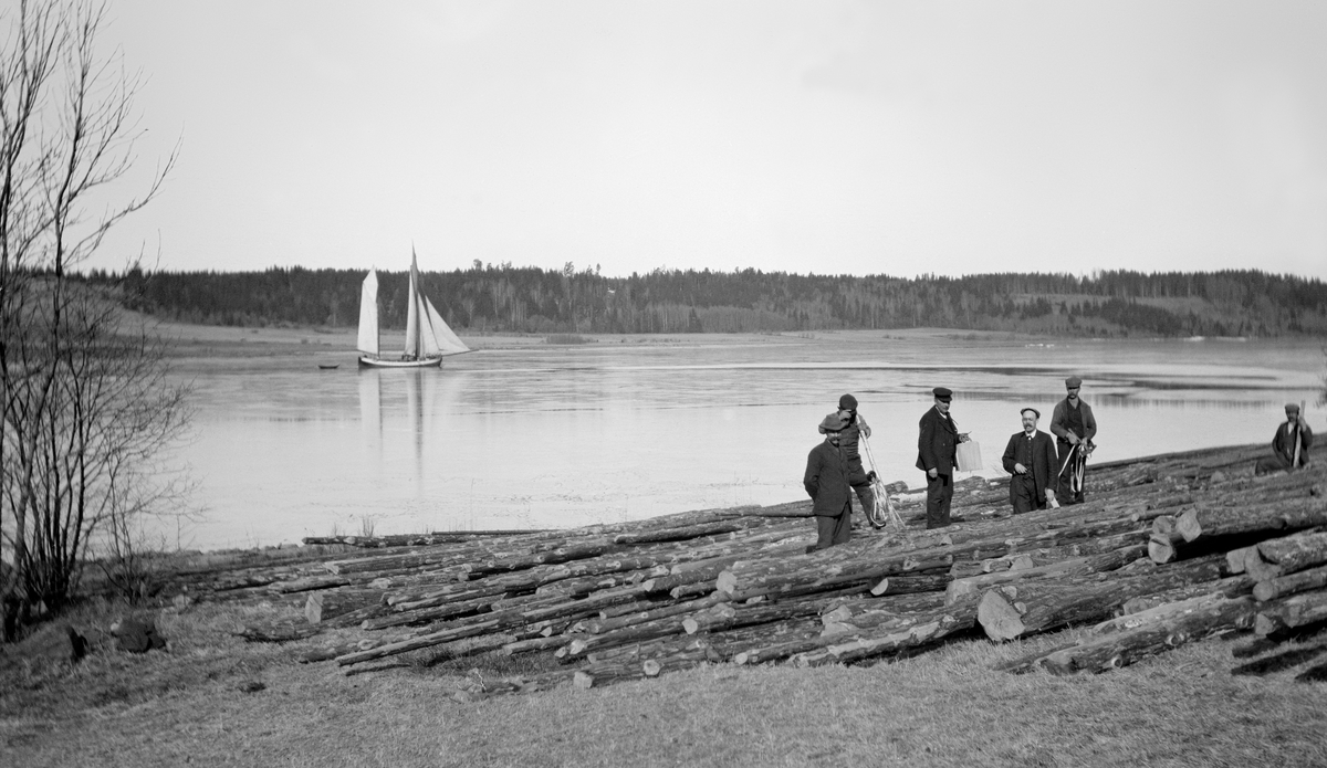 Tømmermerking på barmark ved strandbredd på Nøtterøy. Dette er et våropptak. En del barket furutømmer på grasbakke i forgrunnen. Seks menn arbeidet med måling og merking.  I bakgrunnen ser vi et sund med seilskøyte, og på motsatt side av sundet vokste det blandingsskog langs land.