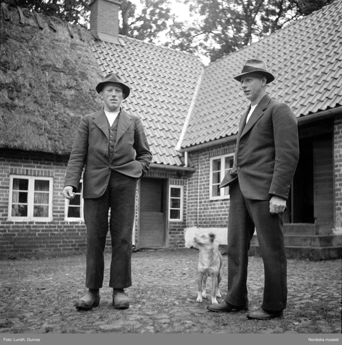 Miljöbilder  och porträtt av Nils och Fredrik Åkesson gåsupfödare i Veberöd, exteriör av bondgård, en hund på en gårdsplan, en flock gäss på en gårdsplan, porträtt av två män och en hund som står på en gårdsplan, en kvinna står i en dörröppning vid en tvådelad dörr, en man står vid en delad ladugårdsdörr, vy över en väg med hagar och stängsel av brädor.