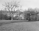 Från 1960-talet märktes en ökning av antalet anställda vid Östergötlands museum. Nya uppdrag och specialisering skapade med tiden trångbodhet och lösningen blev den så kallade Gula paviljongen som placerades i museiparken invid museet. Situationen kom att råda tills en ny administrationsbyggnad stod färdig 1989.