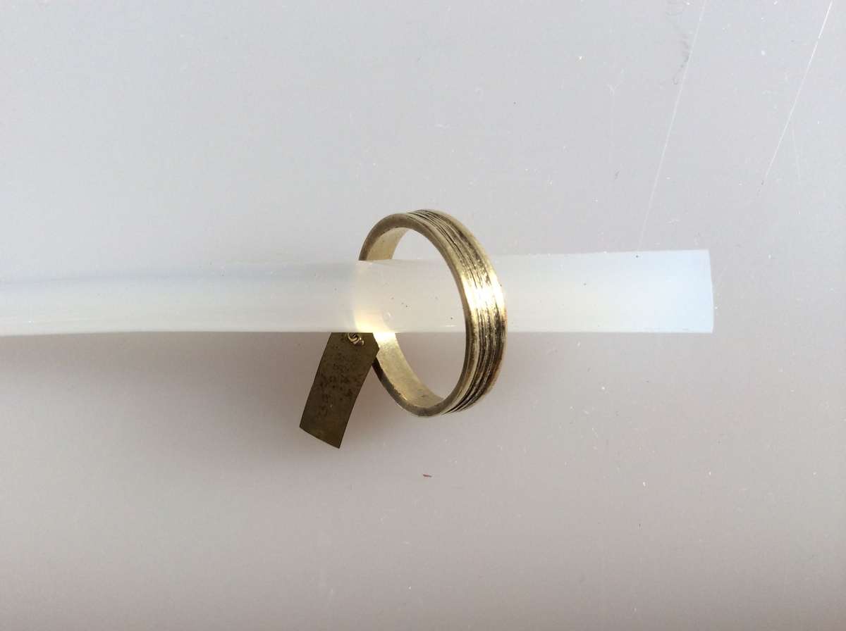 Gullring med horisontale rifler, ganske som type Rygh 305, fra yngre romersk jernalder. Funnet i en kvinnegrav på Vestby under Evang i 1885.