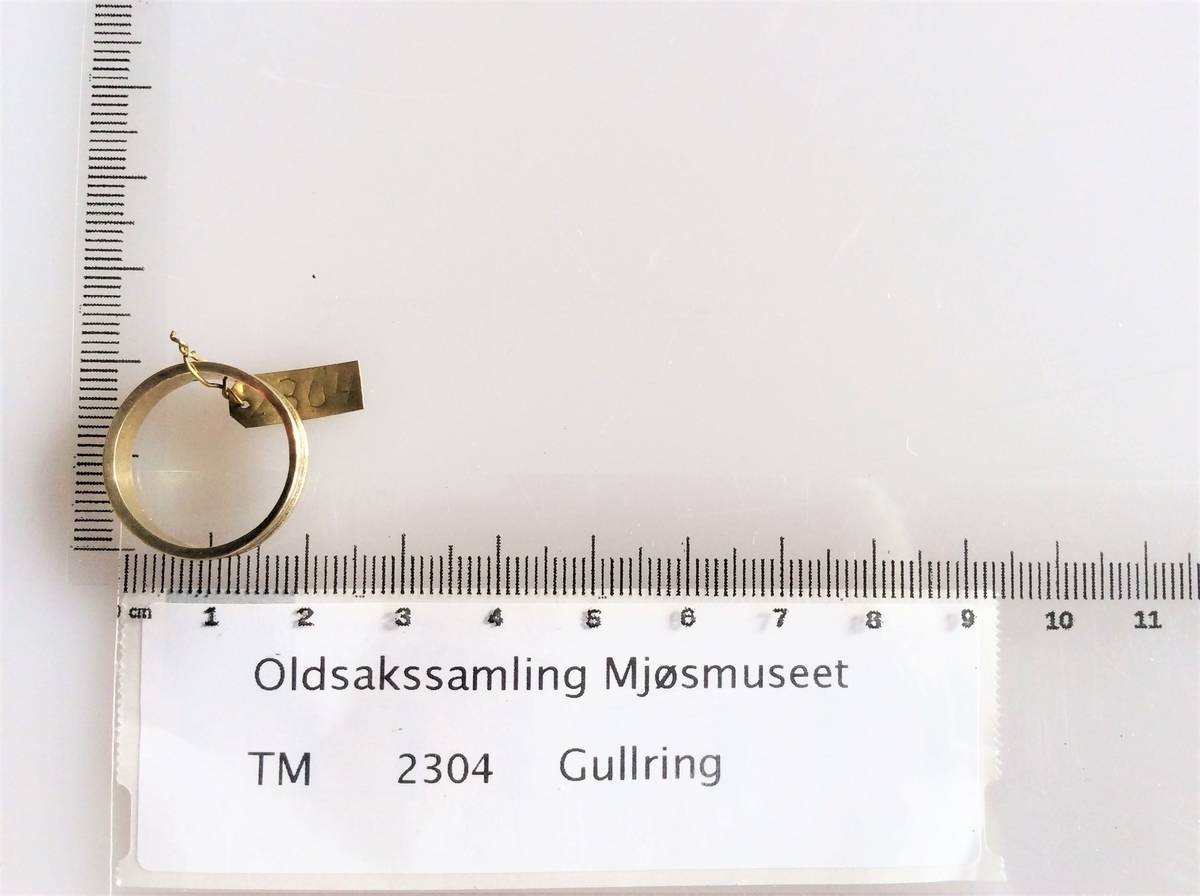 Gullring med horisontale rifler, ganske som type Rygh 305, fra yngre romersk jernalder. Funnet i en kvinnegrav på Vestby under Evang i 1885.