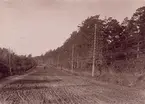 Telefonnät vid Norrtull år 1897.