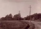 Telefonnät vid Frösunda backe år 1897.