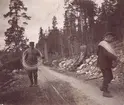 Ingenjörskursen i Norrland år 1903. Bispgården och Östavall.