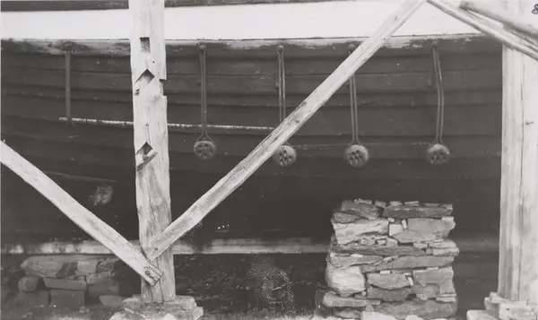 Nordfjordjekti (Holvikjekti) påtenkja med doshovudi (=jomfru