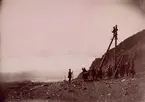 Foton från anläggningen av en telegraflinje i Ryssland år 1900.