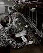 Den provisoriska halvautomatiska riksexpeditionen på Strömstads nya station (upphörde i och med klenkoaxialkabeln Trollhättan - Uddevalla -Strömstad) i november 1966. Telefonisten R. Leh tränas av elevlär. L. Baatz.