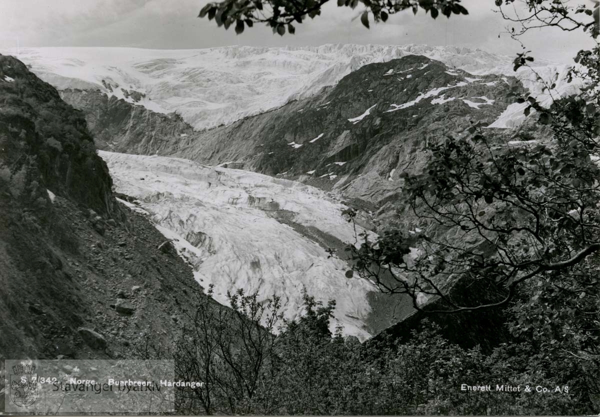 Buarbreen, Hardanger