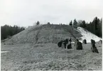 Badelunda sn, Anundshögsområdet, Långby.
Anundshögen och del av skeppssättning.