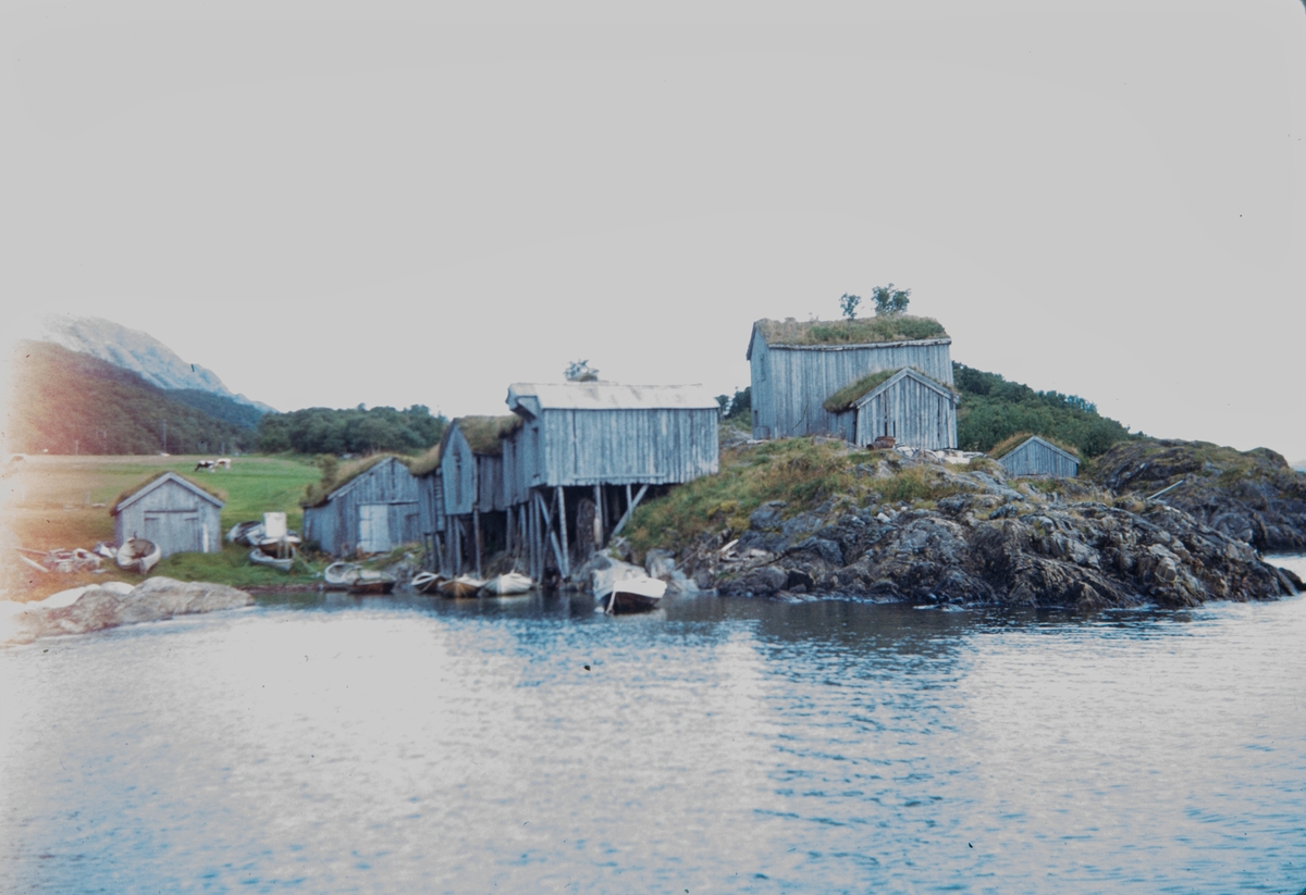 Brygger og naust ved Reines i Leirfjord.