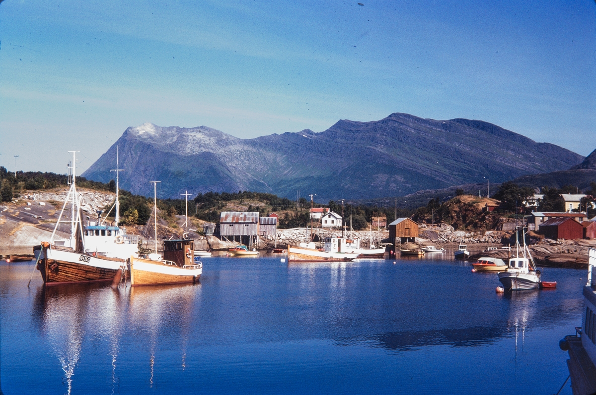 Inndyr, 1980. Buaodden til venstre.
"Astrid" foran "Sølvhomen/Bunes i midten av bildet. 
Den grå Myrasjarken til høyre var vel Håkon Eilertsen sin?
Kilde: Facebook-kommentar