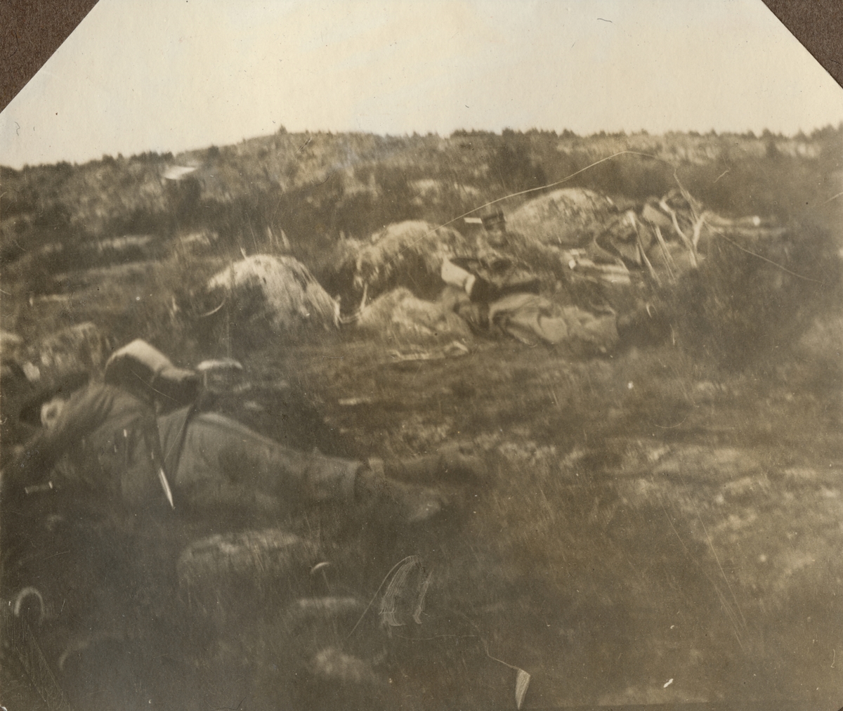 Text i fotoalbum: "Regementetsövning 1922".