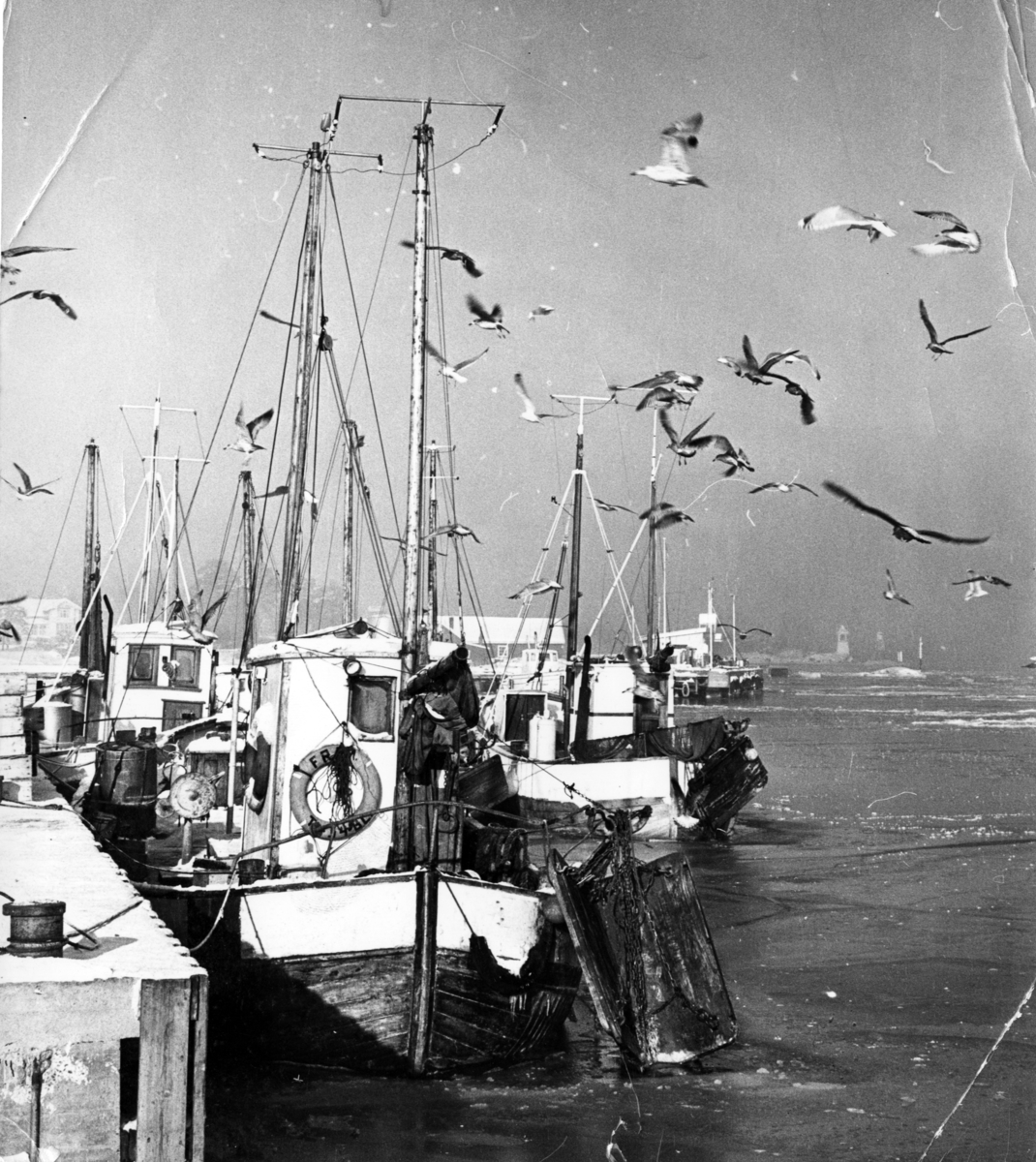 Fiskebåter ved Langesund brygge. En samling bilder fra Langesund av personer og bebyggelse, etter Jac Lund Tangen.