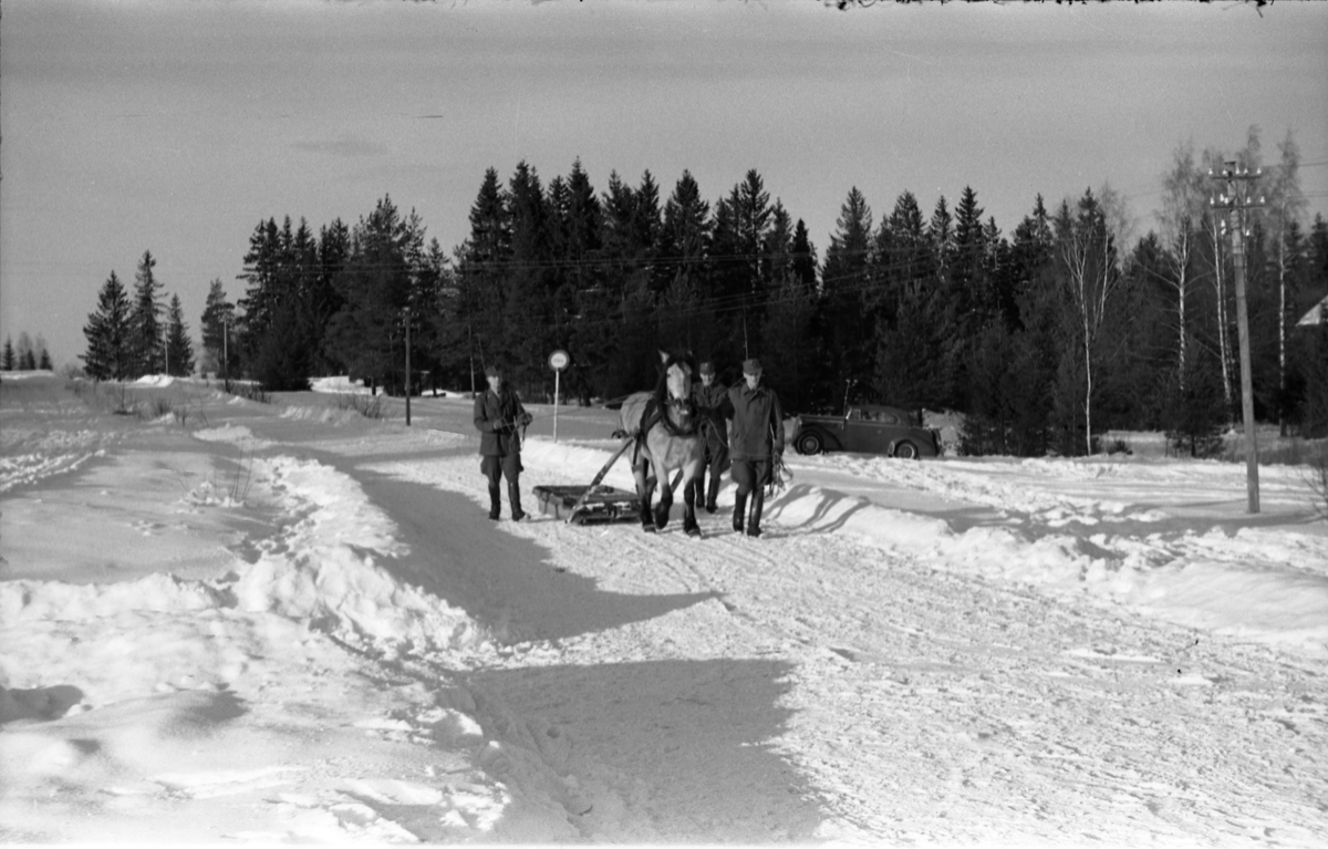 Seks bilder fra Hærens Hesteskole på Starum ca. årsskiftet 1957/1958. Noen av leirens befal viser hest og en slags slede. Personene er ikke identifisert.