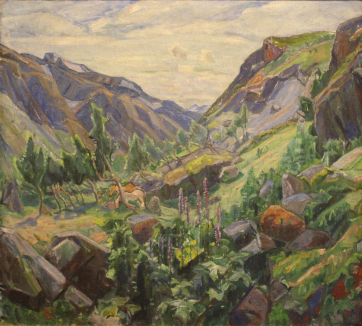 Fjellandskap med knauser og blomster. 