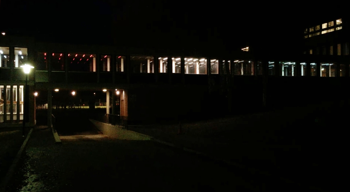 I den lange korridoren som binder hovedbygningen sammen med gymsalen er et stort antall lysarmaturer montert av kunstneren Børre Sæthre. RGB-LED-lysarmaturene, integrert i taket og programmert i forskjellige intervaller skaper en bølge av bevegelse. Sekvensene av intervaller er direkte inspirert av ulike bevegelsesmønstre fra idrett som for eksempel sommerfugl svømming eller skøyter. Slik har verket et direkte forhold til de daglige brukerne, da bevegelse er selve utgangspunktet for all forskning og aktivitet ved Idrettshøgskolen.
 
Korridoren har vinduer langs begge sider og et skarpt lys på dagtid, allikevel klarer LED-lysene å lyse trenge gjennom, og på kveldstid kan kunstverket ses på lang avstand i hele området.
 
Et stort antall studenter, ansatte og besøkende går gjennom korridoren hver dag. Mesteparten av tiden brukes korridoren som en del av transportetappe, en passasje fra ett sted til et annet. Allikevel kan området oppfattes som en rolig plass som noen ganger blir brukt som en form for rekreasjonsrom: et rom for alenetid eller for å ha et uformelt møte. Dette blir derfor et ideelt sted for en isolert kunstopplevelse, som forhåpentligvis utløser tilskuerens fantasi om hvilken form for bevegelse lysformasjonen representerer.

Hvert RGB-LED-armatur har 180 dioder i fargene rød, grønn og blå, og kan skape millioner av forskjellige farger og nyanser av lys. Kunstneren relaterer installasjonen til de klare og sterke farger som brukes i sport-tekstiler - for eksempel neonfarger. Den gjentatte strømmen av lys som representerer bevegelse, kan tolkes som byggets egne og fargerike puls.