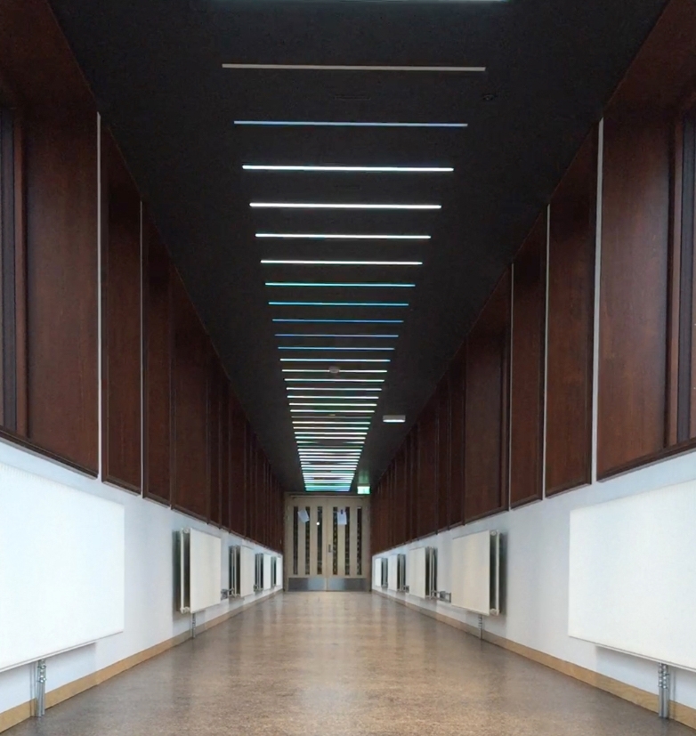 I den lange korridoren som binder hovedbygningen sammen med gymsalen er et stort antall lysarmaturer montert av kunstneren Børre Sæthre. RGB-LED-lysarmaturene, integrert i taket og programmert i forskjellige intervaller skaper en bølge av bevegelse. Sekvensene av intervaller er direkte inspirert av ulike bevegelsesmønstre fra idrett som for eksempel sommerfugl svømming eller skøyter. Slik har verket et direkte forhold til de daglige brukerne, da bevegelse er selve utgangspunktet for all forskning og aktivitet ved Idrettshøgskolen.
 
Korridoren har vinduer langs begge sider og et skarpt lys på dagtid, allikevel klarer LED-lysene å lyse trenge gjennom, og på kveldstid kan kunstverket ses på lang avstand i hele området.
 
Et stort antall studenter, ansatte og besøkende går gjennom korridoren hver dag. Mesteparten av tiden brukes korridoren som en del av transportetappe, en passasje fra ett sted til et annet. Allikevel kan området oppfattes som en rolig plass som noen ganger blir brukt som en form for rekreasjonsrom: et rom for alenetid eller for å ha et uformelt møte. Dette blir derfor et ideelt sted for en isolert kunstopplevelse, som forhåpentligvis utløser tilskuerens fantasi om hvilken form for bevegelse lysformasjonen representerer.

Hvert RGB-LED-armatur har 180 dioder i fargene rød, grønn og blå, og kan skape millioner av forskjellige farger og nyanser av lys. Kunstneren relaterer installasjonen til de klare og sterke farger som brukes i sport-tekstiler - for eksempel neonfarger. Den gjentatte strømmen av lys som representerer bevegelse, kan tolkes som byggets egne og fargerike puls.