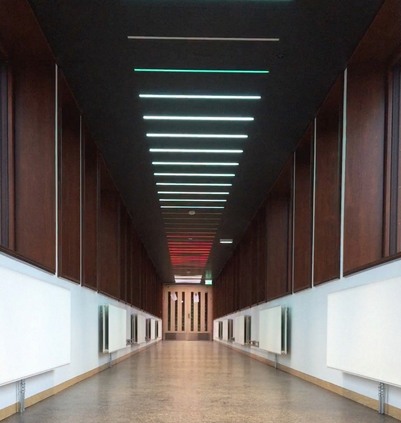 I den lange korridoren som binder hovedbygningen sammen med gymsalen er et stort antall lysarmaturer montert av kunstneren Børre Sæthre. RGB-LED-lysarmaturene, integrert i taket og programmert i forskjellige intervaller skaper en bølge av bevegelse. Sekvensene av intervaller er direkte inspirert av ulike bevegelsesmønstre fra idrett som for eksempel sommerfugl svømming eller skøyter. Slik har verket et direkte forhold til de daglige brukerne, da bevegelse er selve utgangspunktet for all forskning og aktivitet ved Idrettshøgskolen.
 
Korridoren har vinduer langs begge sider og et skarpt lys på dagtid, allikevel klarer LED-lysene å lyse trenge gjennom, og på kveldstid kan kunstverket ses på lang avstand i hele området.
 
Et stort antall studenter, ansatte og besøkende går gjennom korridoren hver dag. Mesteparten av tiden brukes korridoren som en del av transportetappe, en passasje fra ett sted til et annet. Allikevel kan området oppfattes som en rolig plass som noen ganger blir brukt som en form for rekreasjonsrom: et rom for alenetid eller for å ha et uformelt møte. Dette blir derfor et ideelt sted for en isolert kunstopplevelse, som forhåpentligvis utløser tilskuerens fantasi om hvilken form for bevegelse lysformasjonen representerer.

Hvert RGB-LED-armatur har 180 dioder i fargene rød, grønn og blå, og kan skape millioner av forskjellige farger og nyanser av lys. Kunstneren relaterer installasjonen til de klare og sterke farger som brukes i sport-tekstiler - for eksempel neonfarger. Den gjentatte strømmen av lys som representerer bevegelse, kan tolkes som byggets egne og fargerike puls.